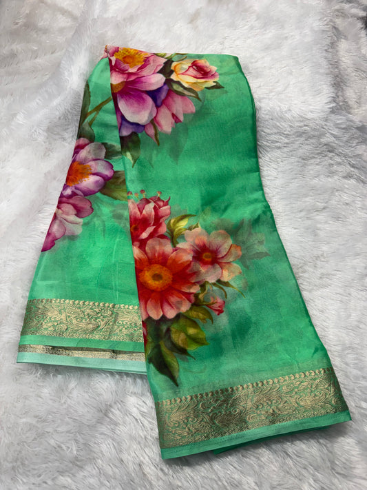 Chinnon digital print saree-SR1209L