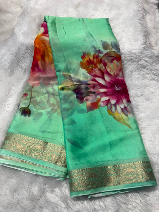 Chinnon digital print saree-SR1209J