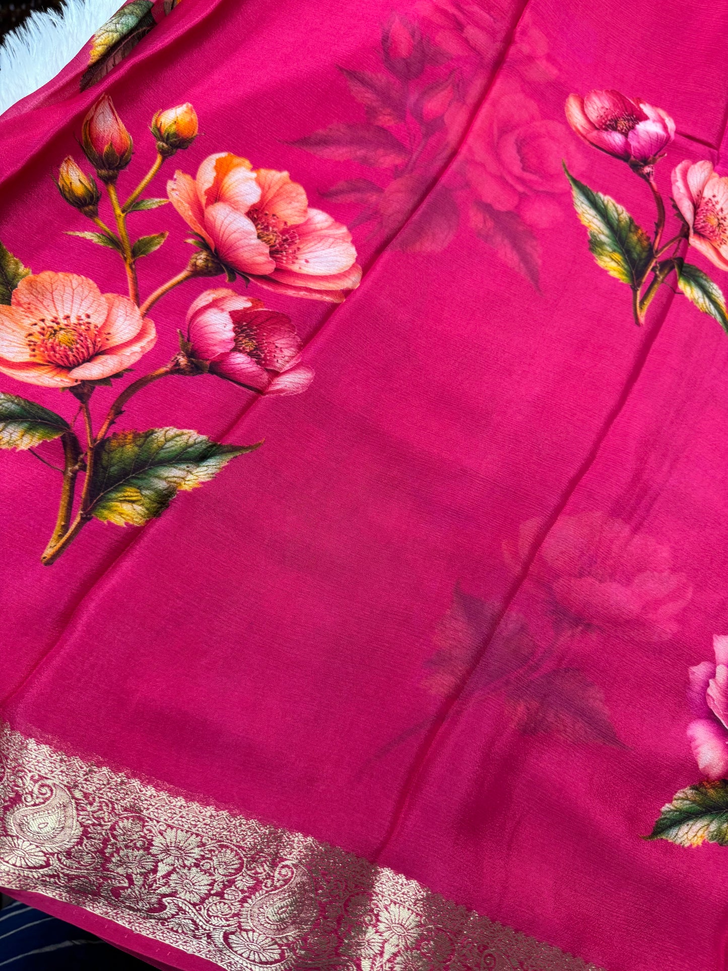 Pure Chinnon chiffon digital print saree-SR1149C